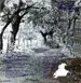 BackCover