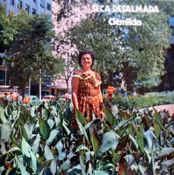 Capa do disco Seca desalmada, de Clemilda