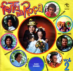 Capa do disco Festa na roça vol. 2, de Coletânea