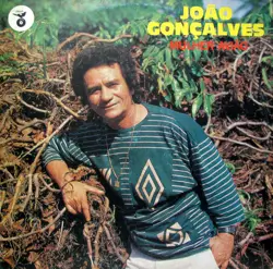 Capa do disco Mulher avião, de João Gonçalves
