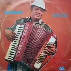 Capa do disco Homenagem a Dominguinhos, de Nadinho