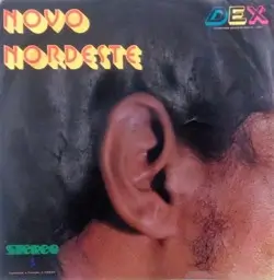 Novo Nordeste