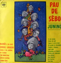 Capa do disco Pau de sebo, Junino, de Coletânea