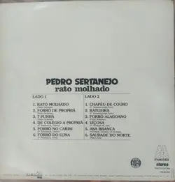 Rato molhado - Verso