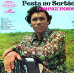 Festa no sertão