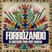 Forrózando, Volume 2
