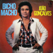 Bicho macho