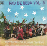 Pau de sebo, Volume 3