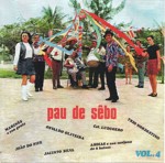 Pau de sebo, Volume 4