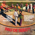 Pau de sebo, Volume 7