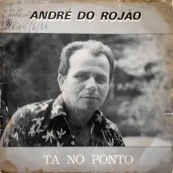 Capa do disco Tá no ponto, de André do Rojão