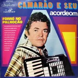 Capa do disco Forró no palhoção, de Camarão e seu acordeon