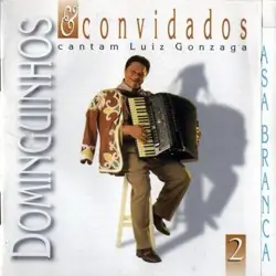 Capa do disco Dominguinhos e convidados cantam Luiz Gonzaga, volume 2, de Dominguinhos