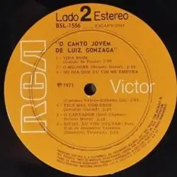 O canto jovem de Luiz Gonzaga - Selo B