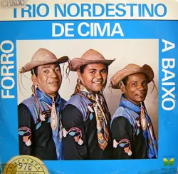 Capa do disco Forró de cima a baixo, de Trio Nordestino